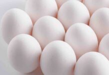 Le migliori 10 ricette da fare con le uova ricetta con le uova