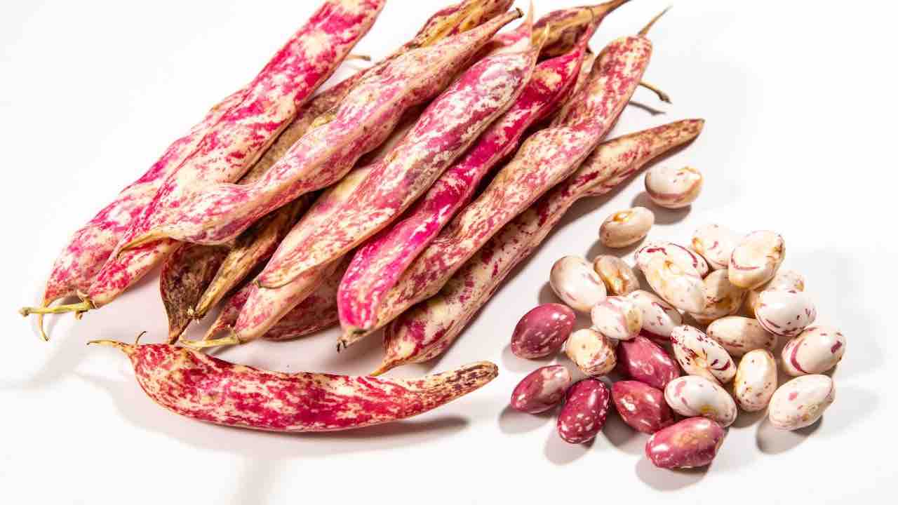 fagioli