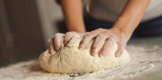 5 ricette di impasti della pizza fatta in casa 5 impasti pizza