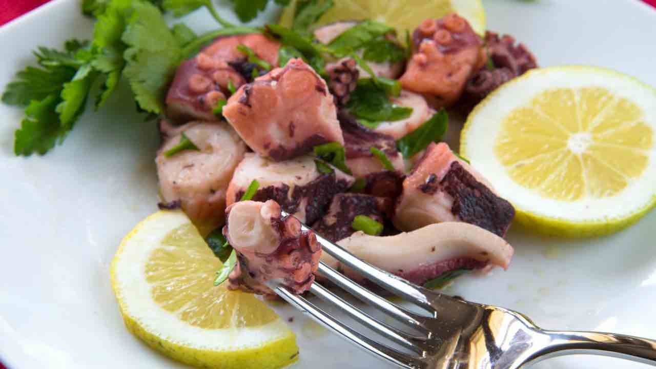 insalata di polpo