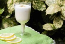 Come si prepara un fresco sorbetto al limone in poche mosse sorbetto