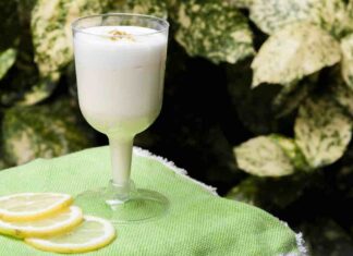 Come si prepara un fresco sorbetto al limone in poche mosse sorbetto