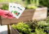Bucce della frutta nell’orto, non buttarle: come riutilizzarle senza danneggiare le piante Bucce nell'orto - RicettaSprint