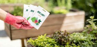 Bucce nell'orto - RicettaSprint