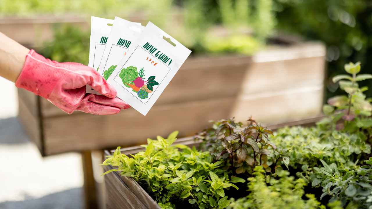 Bucce nell'orto - RicettaSprint