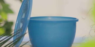 Ciotole une d’olio, buttarle via non è l’unica scelta che hai, ecco come salvarle Ciotole unte di olio - RicettaSprint