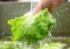 Come lavare le verdure - RicettaSprint