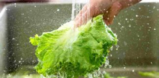 Lavare le verdure con il bicarbonato conviene davvero? Ecco cosa sapere per farlo in modo sicuro Come lavare le verdure - RicettaSprint