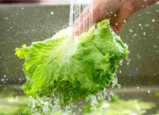 Come lavare le verdure - RicettaSprint