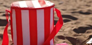 Come lavate borsa frigo - RicettaSprint