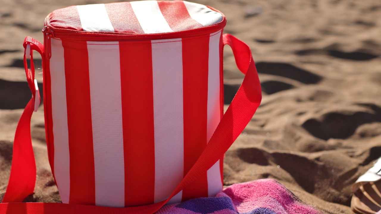 Come lavate borsa frigo - RicettaSprint