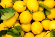 Come mantenere i limoni freschi - RicettaSprint