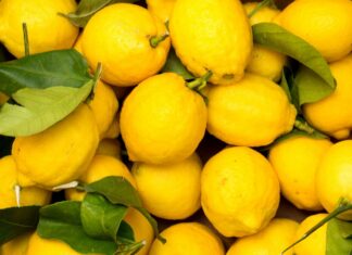 Limoni freschi più a lungo, il trucco per conservarli senza farli seccare dopo pochi giorni Come mantenere i limoni freschi - RicettaSprint