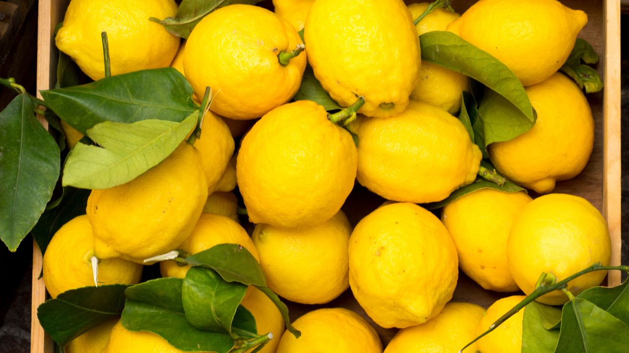 Come mantenere i limoni freschi - RicettaSprint