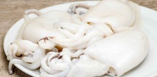 Come pulire le seppie senza rovinarle: il passaggio più delicato è proprio all’inizio Come pulire le seppie - RicettaSprint
