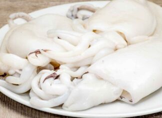 Come pulire le seppie senza rovinarle: il passaggio più delicato è proprio all’inizio Come pulire le seppie - RicettaSprint