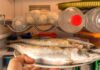 Come si conserva il pesce nel frigo - RicettaSprint