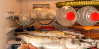 Pesce fresco in frigorifero, quanto tempo possiamo conservarlo? Attenzione a dove lo sistemiamo Come si conserva il pesce nel frigo - RicettaSprint
