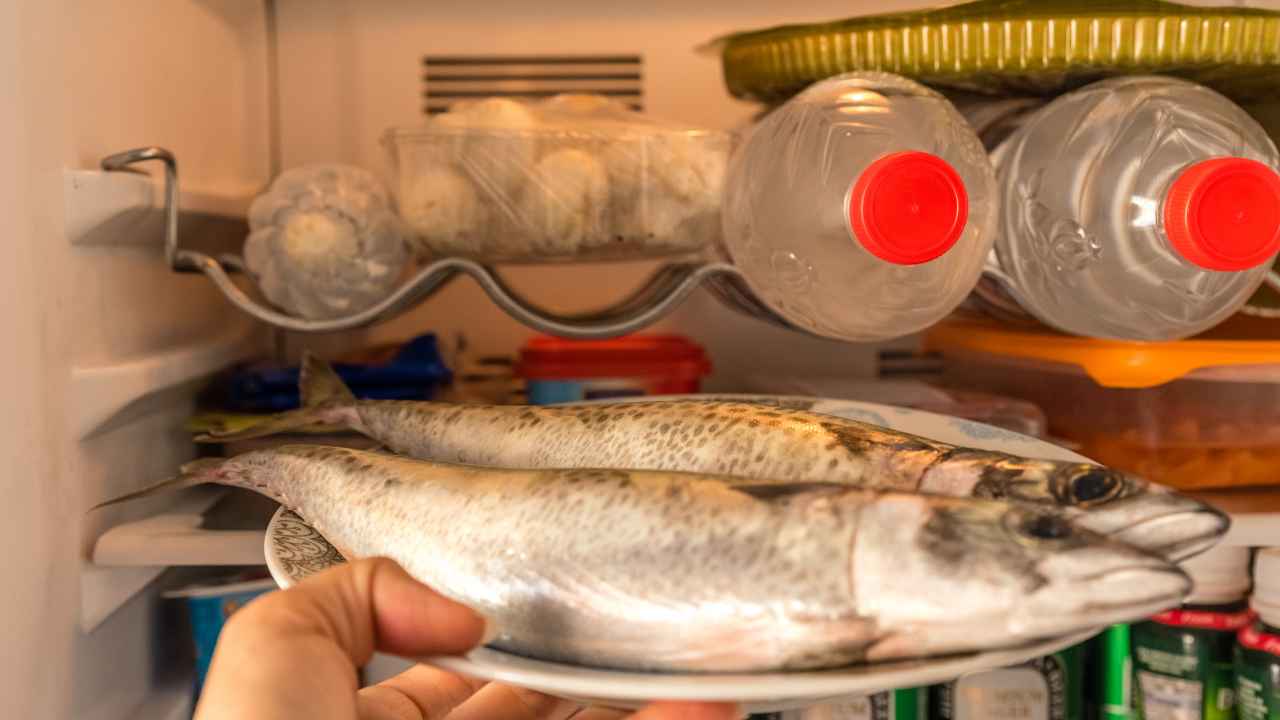 Come si conserva il pesce nel frigo - RicettaSprint
