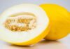 Non buttare i semi del melone, puoi riutilizzarli in cucina Cosa fare con i semi del melone - RicettaSprint
