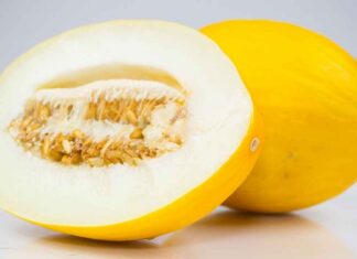 Cosa fare con i semi del melone - RicettaSprint
