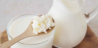 Kefir o yogurt intero? Le reali differenze e quale scegliere se sei a dieta Kiefir o yogurt quali sono le differenze - RicettaSprint