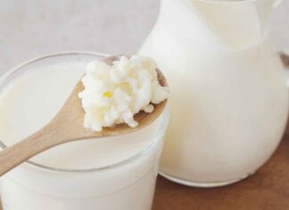 Kiefir o yogurt quali sono le differenze - RicettaSprint