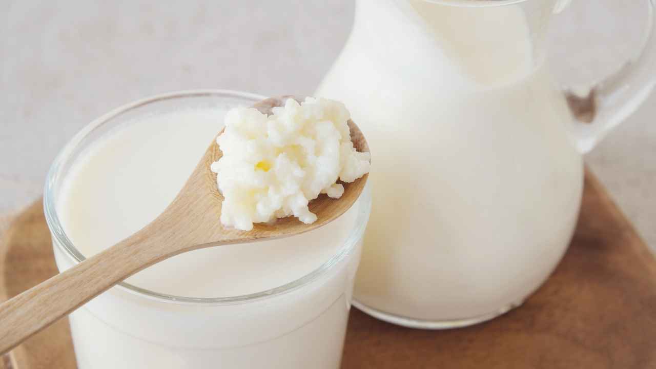 Kiefir o yogurt quali sono le differenze - RicettaSprint