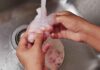 La carne si lava prima di cucinarla? No, e non vale soltanto per il pollo Lavare la carne - RicettaSprint