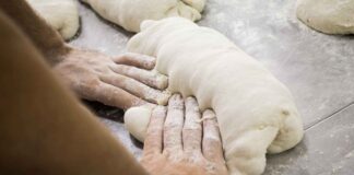 Impasto del pane sempre pronto da infornare: come conservarlo senza dover ricominciare ogni volta Pane in pasta da conservare - RicettaSprint