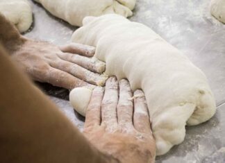 Impasto del pane sempre pronto da infornare: come conservarlo senza dover ricominciare ogni volta Pane in pasta da conservare - RicettaSprint