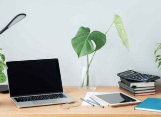 Zanzare mentre lavori? Le piante da tenere sulla scrivania per provare ad allontanarle Piante che allontanano le zanzare - RicettaSprint