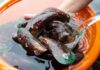 Come pulire le cozze senza perdere ore in cucina: il metodo per eliminare barba e incrostazioni Pulire le cozze - RicettaSprint