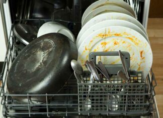 Puzza nel cestello della lavastoviglie - RicettaSprint