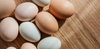 Quante uova possiamo mangiare a settimana? La risposta che mette d’accordo gusto e salute Quante uova durante la settimana - RicettaSprint
