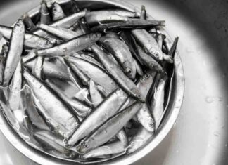 ricette alici