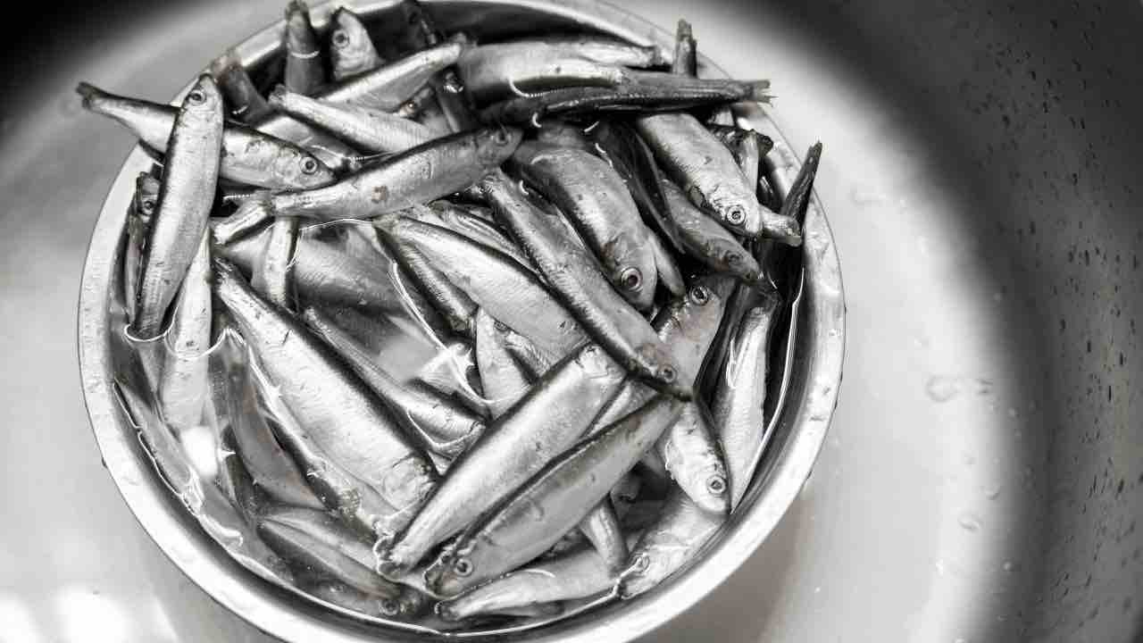 ricette alici