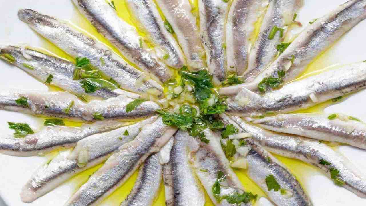 5 ricette alici
