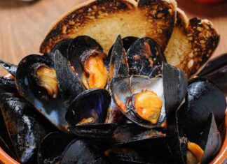 ricette cozze