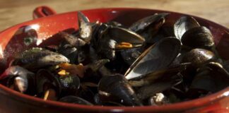 10 ricette con le cozze