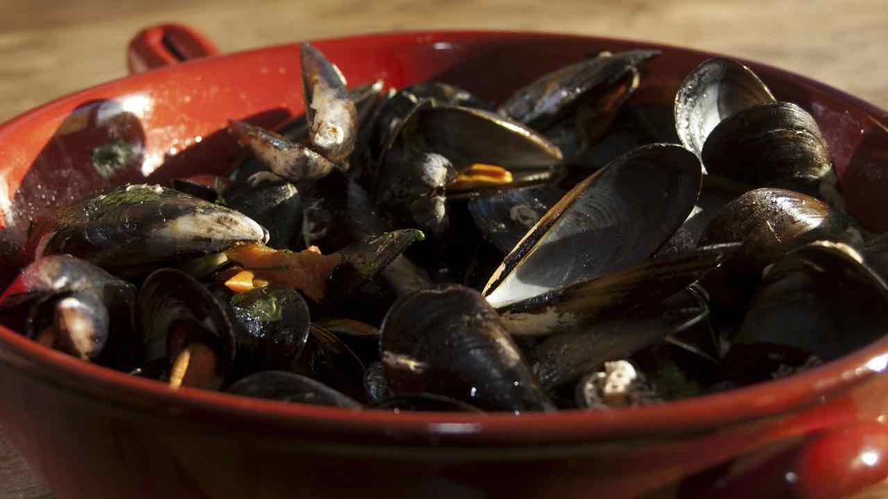 10 ricette con le cozze