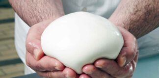 5 ricette con la mozzarella