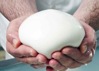 5 ricette con la mozzarella da tenere da conto, ti risolvono la vita 5 ricette con la mozzarella