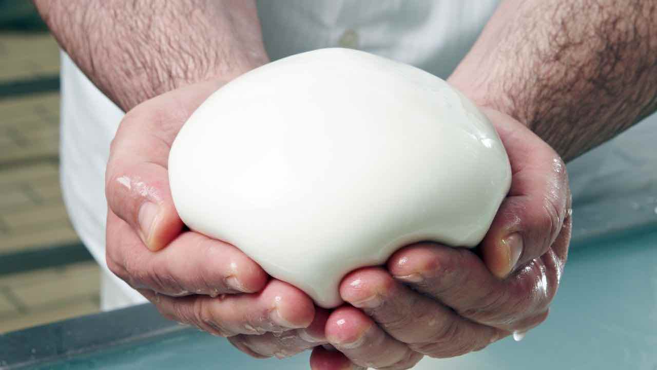 5 ricette con la mozzarella