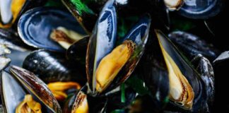 Pasta patate e cozze come la fanno a Napoli pasta patate e cozze