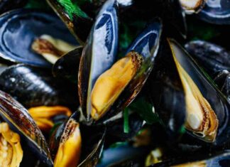 pasta patate e cozze