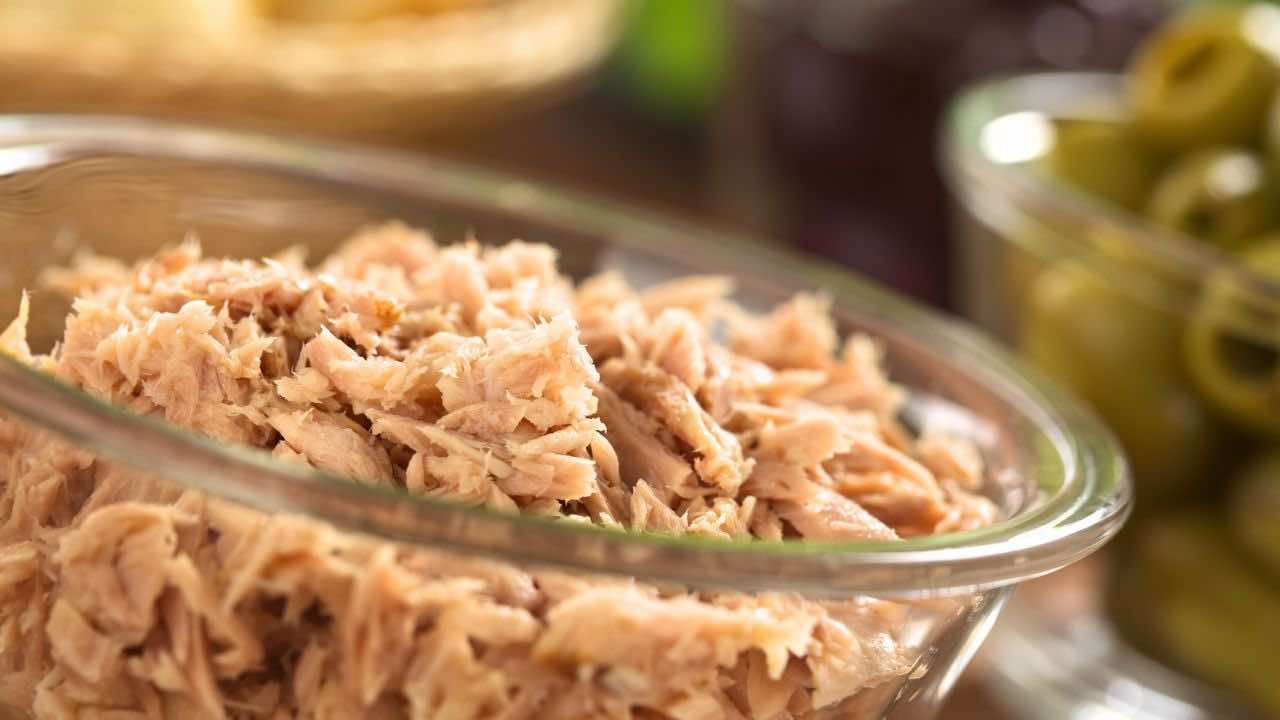 10 RICETTE CON IL TONNO