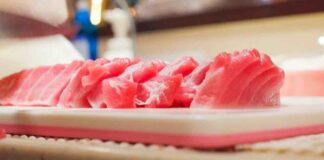 Ventresca di tonno, 3 ricette spaziali da ripetere subito ventresca di tonno