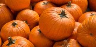 Benefici della zucca - RicettaSprint