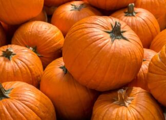 Benefici della zucca - RicettaSprint
